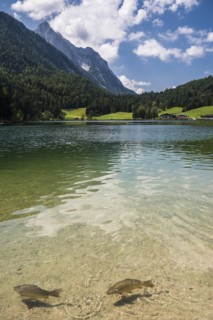 Ferchensee, Mittenwald, Werdenfelser Land, Upper Bavaria, Bavaria, Germany, Europe