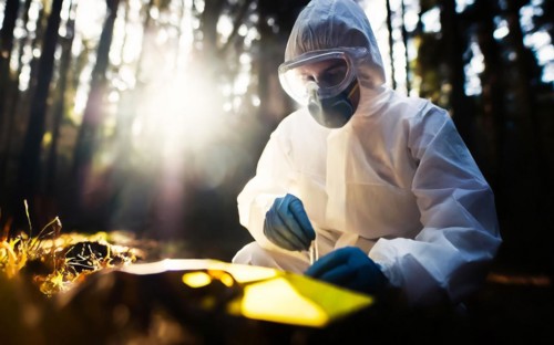 Securing evidence at a crime scene in the forest, KTU, forensic investigation by the criminal