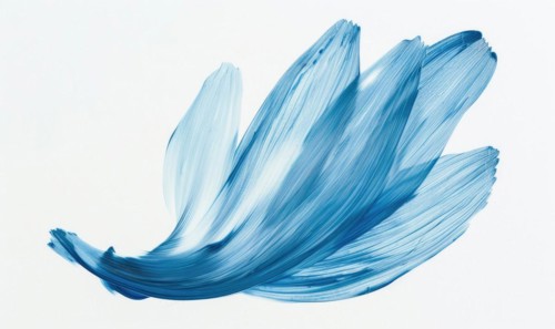 A light blue brush stroke forming a chamomile petal. Chamomile flower painted on white background