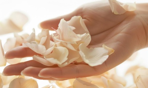Close-up of a woman's hand with a neutral manicure, adorned with delicate flower petals AI