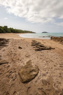 Lonely, wide sandy beach with turquoise-coloured sea. Tropical plants in a bay in the Caribbean