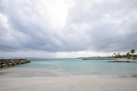 Caribbean dream beach with palm trees, white sandy beach and turquoise-coloured, crystal-clear