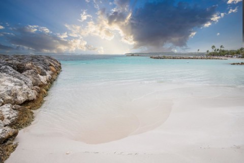 Caribbean dream beach with palm trees, white sandy beach and turquoise-coloured, crystal-clear