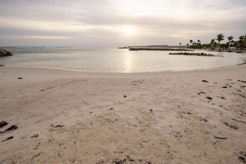 Caribbean dream beach with palm trees, white sandy beach and turquoise-coloured, crystal-clear