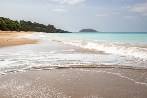 Lonely, wide sandy beach with turquoise-coloured sea. Tropical plants in a bay in the Caribbean