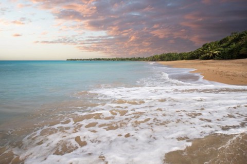 Lonely, wide sandy beach with turquoise-coloured sea. Tropical plants in a bay at sunset in the