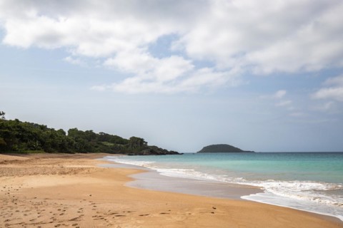 Lonely, wide sandy beach with turquoise-coloured sea. Tropical plants in a bay in the Caribbean