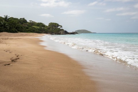 Lonely, wide sandy beach with turquoise-coloured sea. Tropical plants in a bay in the Caribbean