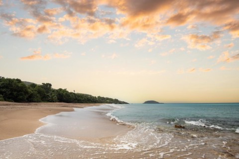 Lonely, wide sandy beach with turquoise-coloured sea. Tropical plants in a bay at sunset in the