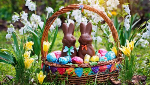 Chocolate Easter bunnies in a colourful Easter nest in the garden, symbolic Easter photo, AI