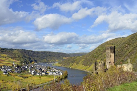 View of the ruins of Metternich Castle near Beilstein and the wine village of Ellenz-Poltersdorf,