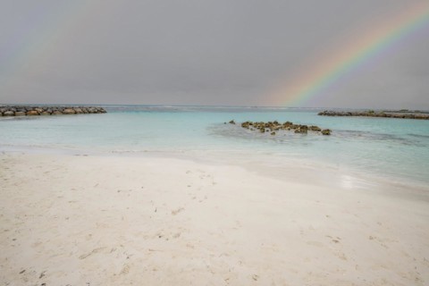 Caribbean dream beach with palm trees, white sandy beach and turquoise-coloured, crystal-clear