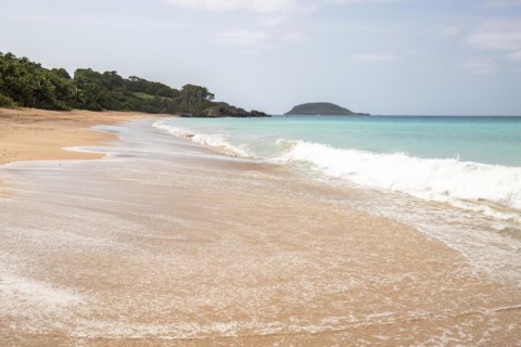 Lonely, wide sandy beach with turquoise-coloured sea. Tropical plants in a bay in the Caribbean