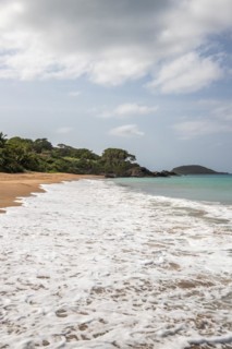 Lonely, wide sandy beach with turquoise-coloured sea. Tropical plants in a bay in the Caribbean