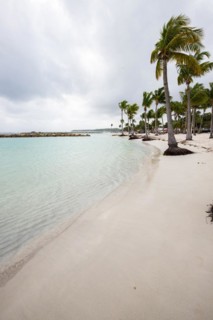 Caribbean dream beach with palm trees, white sandy beach and turquoise-coloured, crystal-clear