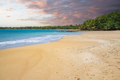 Lonely, wide sandy beach with turquoise-coloured sea. Tropical plants in a bay at sunset in the