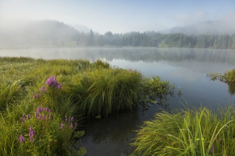Sunrise and morning fog, Geroldsee or Wagenbruechsee, Kruen near Mittenwald, Werdenfelser Land,