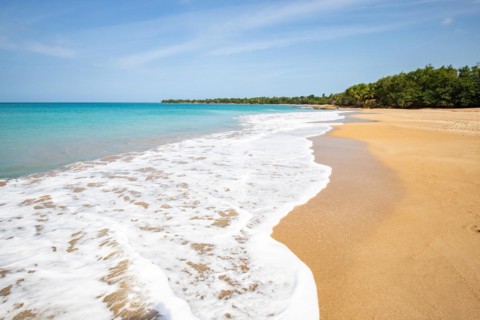 Lonely, wide sandy beach with turquoise-coloured sea. Tropical plants in a bay in the Caribbean