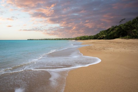 Lonely, wide sandy beach with turquoise-coloured sea. Tropical plants in a bay at sunset in the