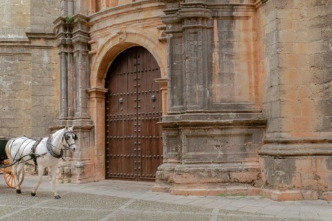 A horse-drawn carriage with a white horse drives past the door of a church with an imposing stone