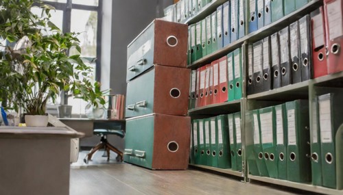 An organised bookshelf with files and a plant in the office, symbolism bureaucracy, AI generated,