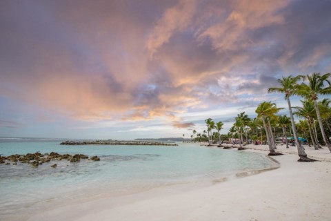 Caribbean dream beach with palm trees, white sandy beach and turquoise-coloured, crystal-clear