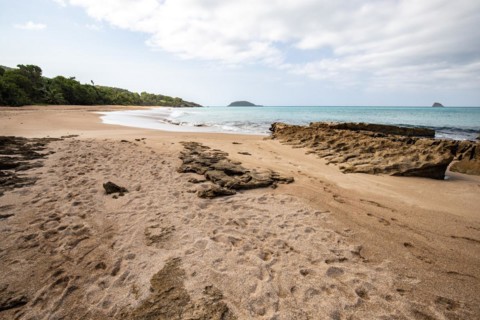 Lonely, wide sandy beach with turquoise-coloured sea. Tropical plants in a bay in the Caribbean