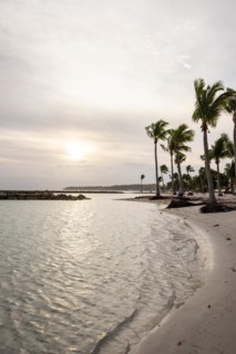 Caribbean dream beach with palm trees, white sandy beach and turquoise-coloured, crystal-clear