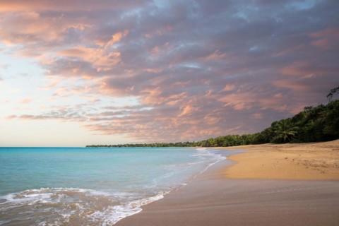 Lonely, wide sandy beach with turquoise-coloured sea. Tropical plants in a bay at sunset in the