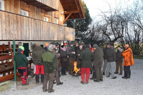 Wild boar (Sus scrofa) end of the hunt, amusing hunter's round, so-called Schuesseltreiben,