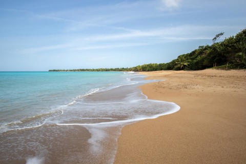 Lonely, wide sandy beach with turquoise-coloured sea. Tropical plants in a bay in the Caribbean