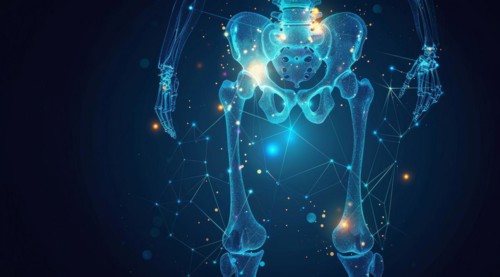 Interconnected design of human pelvic area in a blue glow highlighting anatomy with a technology