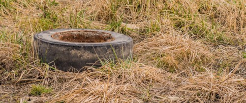 A weathered tire half-buried in overgrown, dry weeds, in South Korea