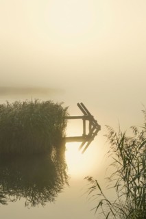 Sunrise and morning fog, Geroldsee or Wagenbruechsee, Kruen near Mittenwald, Werdenfelser Land,