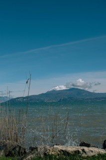 View over Lake Garda to snow-covered mountains with reeds in the foreground under a clear blue sky,