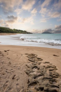 Lonely, wide sandy beach with turquoise-coloured sea. Tropical plants in a bay at sunset in the