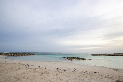 Caribbean dream beach with palm trees, white sandy beach and turquoise-coloured, crystal-clear