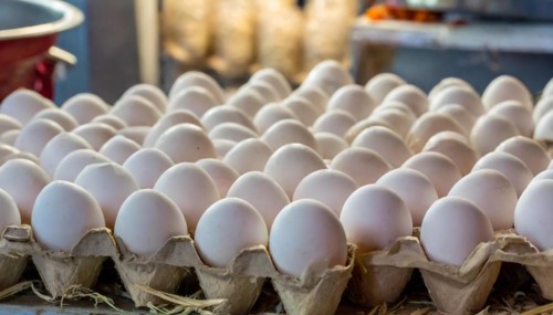 Food, fresh white hen's eggs, free range eggs, AI generated, AI generated
