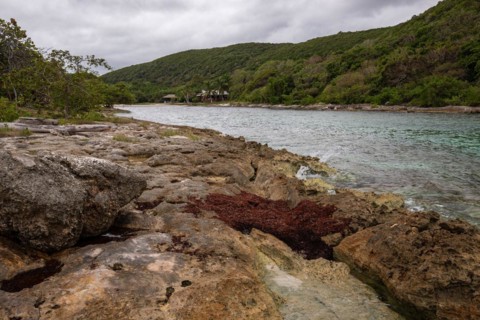 Rocky coast, long bay by the sea at sunset. Dangerous view of the Caribbean Sea. Tropical climate