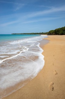 Lonely, wide sandy beach with turquoise-coloured sea. Tropical plants in a bay in the Caribbean