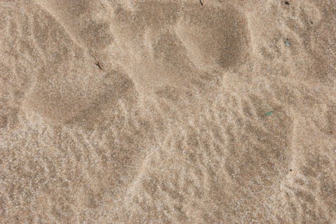 Close-up of sandy surface showing detailed granular texture and natural patterns