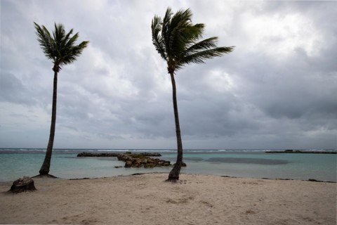 Caribbean dream beach with palm trees, white sandy beach and turquoise-coloured, crystal-clear