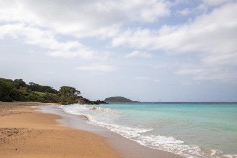Lonely, wide sandy beach with turquoise-coloured sea. Tropical plants in a bay in the Caribbean