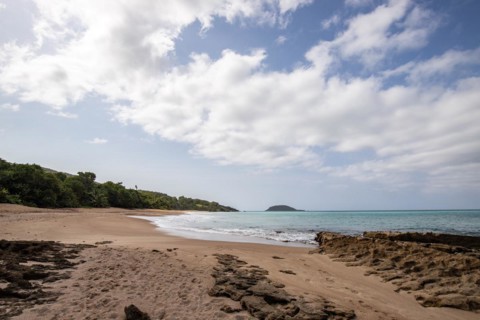 Lonely, wide sandy beach with turquoise-coloured sea. Tropical plants in a bay in the Caribbean