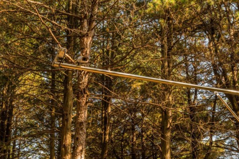 Two closed circuit cameras on chrome metal bar in front of stand of trees in South Korea