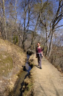 Partschinser Waalweg, Partschinser Sagenweg, Partschins, Vinschgau Valley, South Tyrol, Italy,