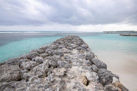 Caribbean dream beach with palm trees, white sandy beach and turquoise-coloured, crystal-clear