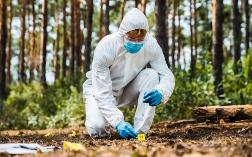 Securing evidence at a crime scene in the forest, KTU, forensic investigation by the criminal