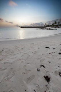 Caribbean dream beach with palm trees, white sandy beach and turquoise-coloured, crystal-clear