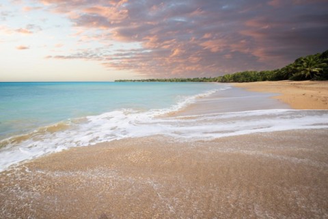 Lonely, wide sandy beach with turquoise-coloured sea. Tropical plants in a bay at sunset in the
